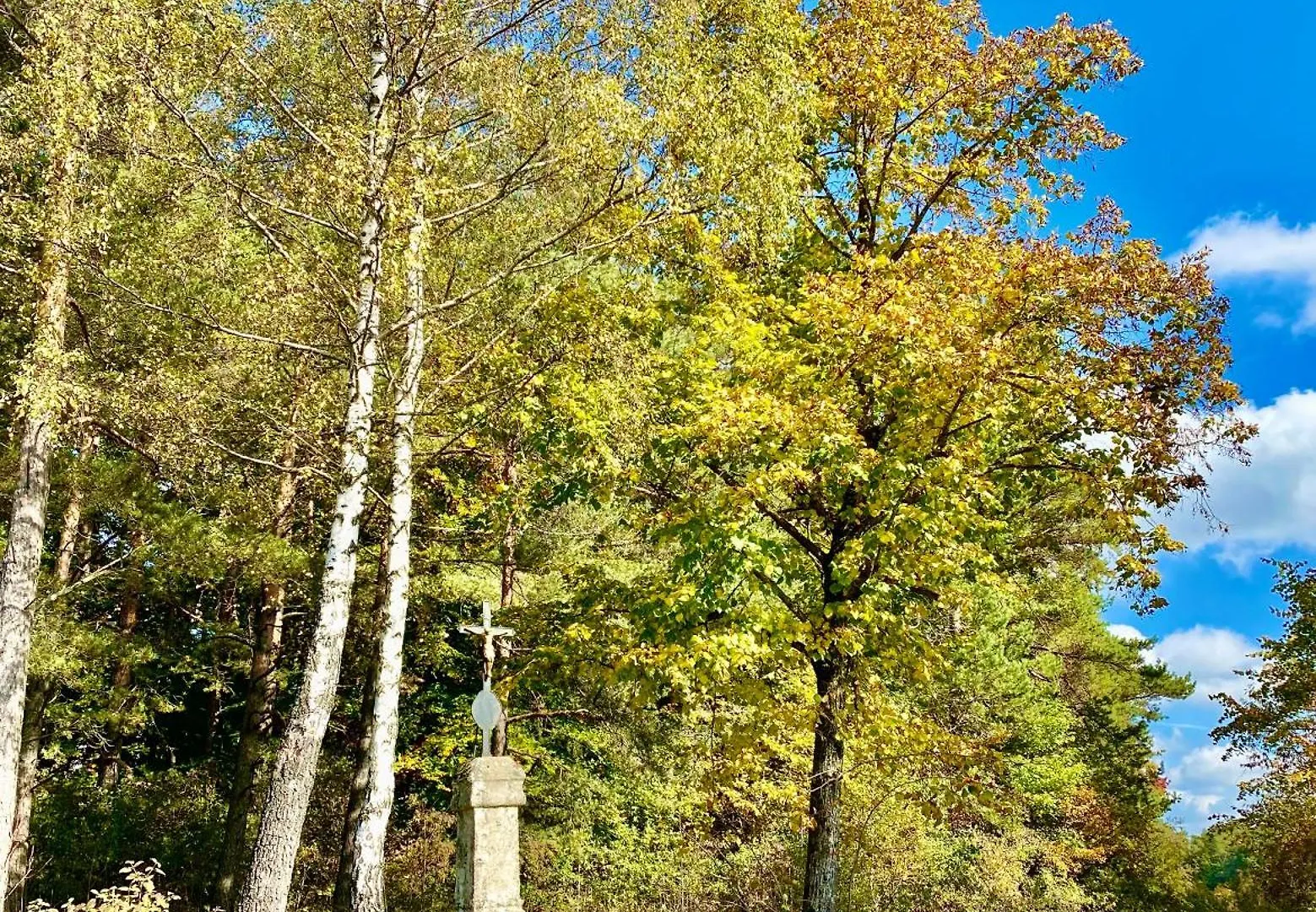 Vakantiehuis Landhaus Am Schloss Schnabelwaid Duitsland